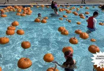 Pumpkins floating in a pool