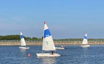 Sailboats